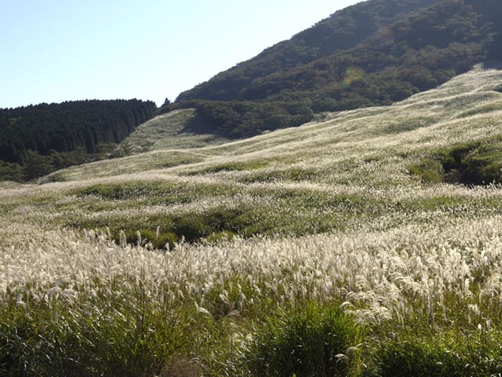 Gora Hanaougi Hakone Exterior photo
